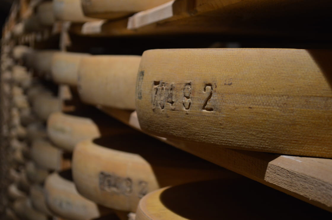 Les Caves d'affinage de Saint Haon le Châtel