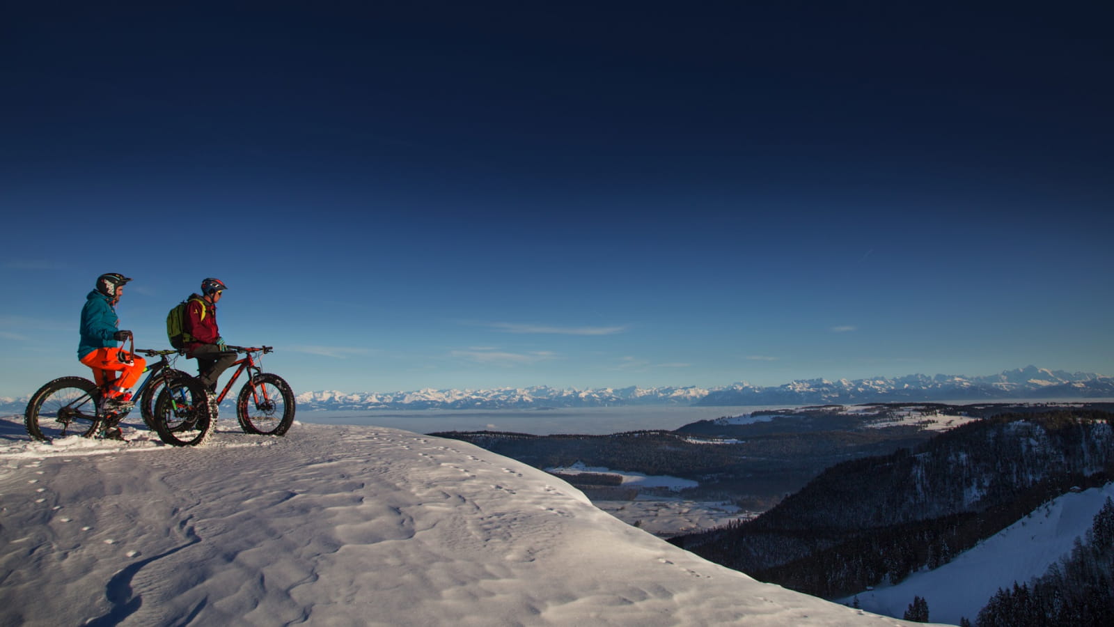 Fat bike