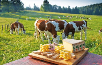 Comté