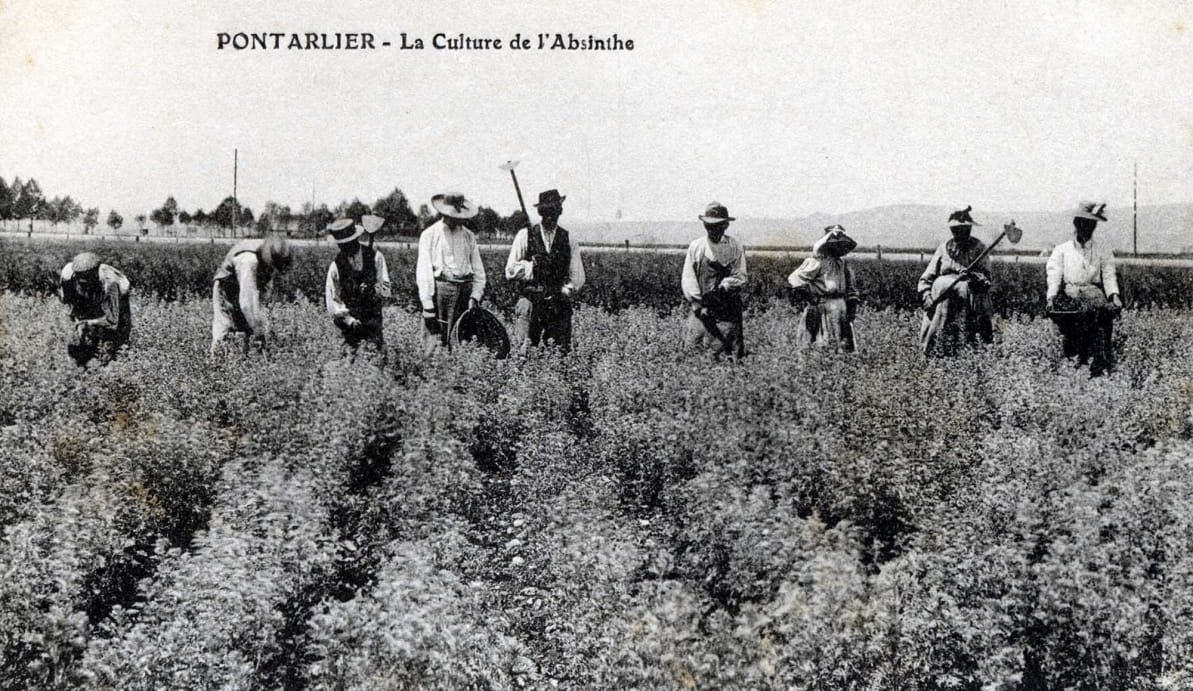 LA FÉE VERTE PONTARLIER (France) - de € 69