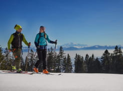 Ski de randonnée