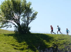 Trail