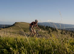 Mont d'Or