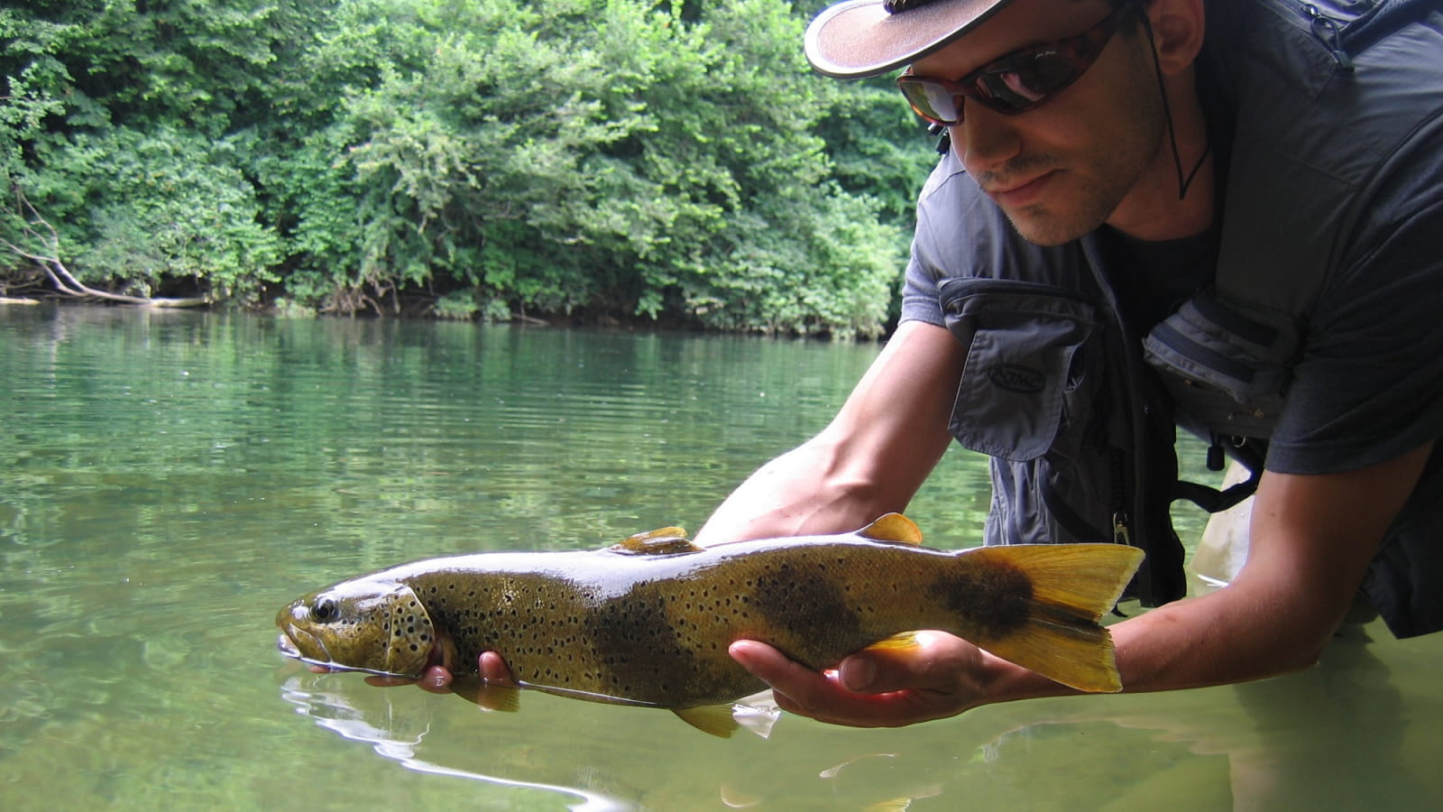 Les techniques incontournables pour pêcher la truite en rivière