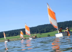 Voile