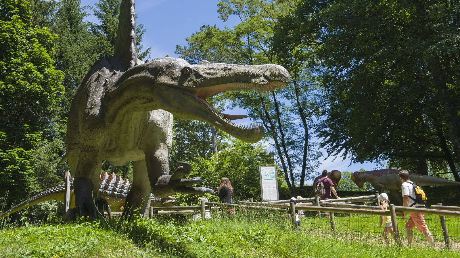 Dino-Zoo