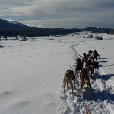 Ecole de traîneaux - Too Mush