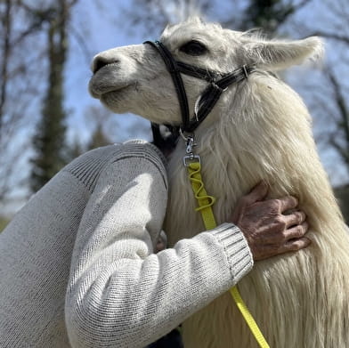 Lama Loisir Mamirolle