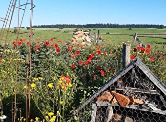  Annabelle 'aire d'accueil privée du Jura Vert' - BOUJAILLES