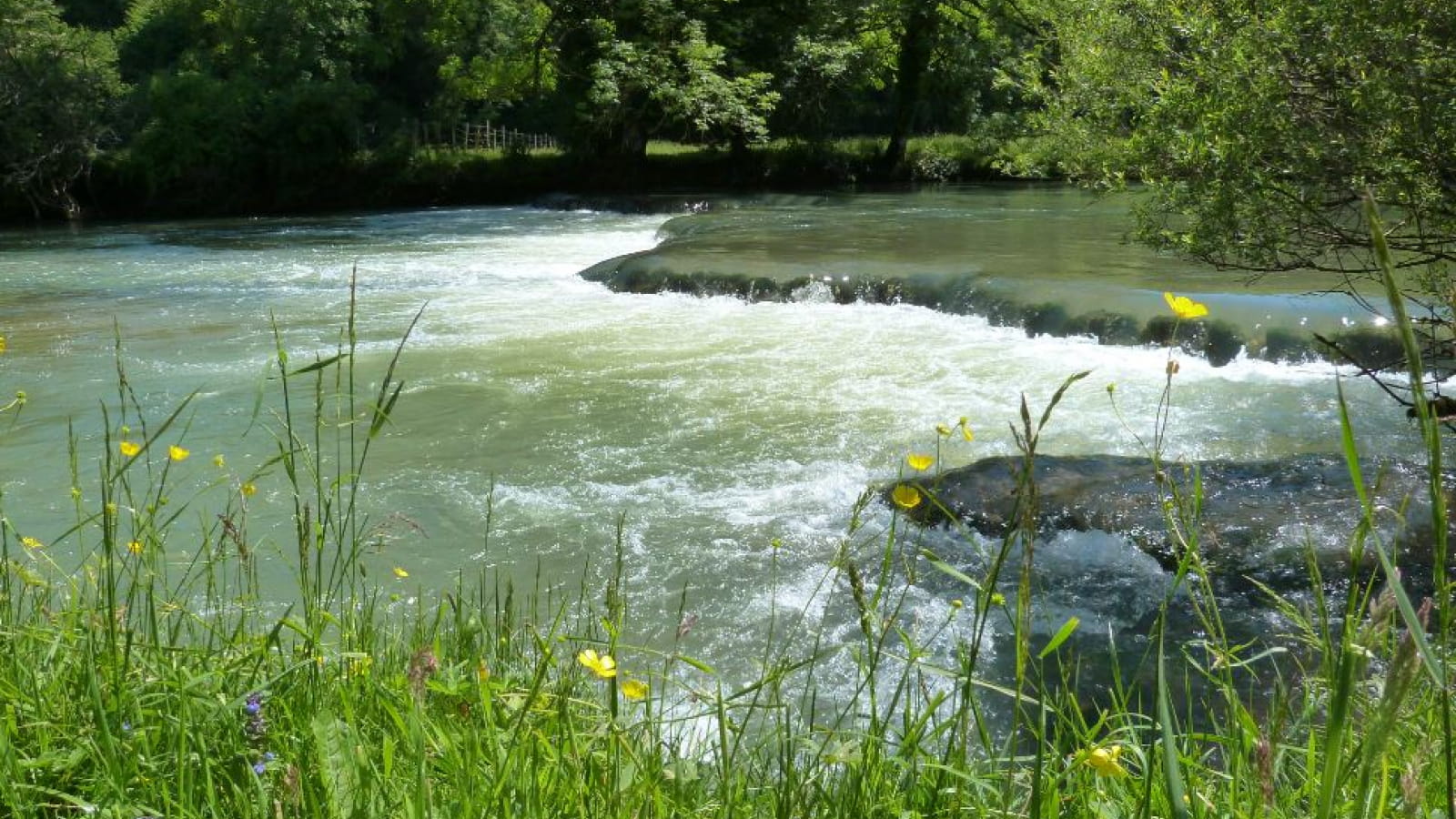 Vallée du Cusancin