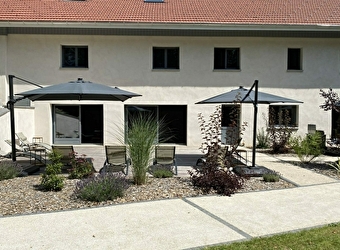 Les Gites du Sapey - LES PREMIERS SAPINS