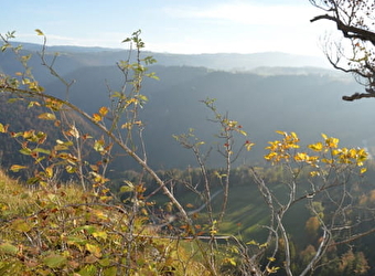 Belvédère la Cendrée - CHARQUEMONT