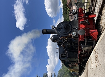 Le Coni'fer - LES HOPITAUX-NEUFS