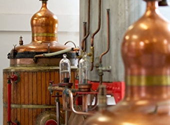 Visite - Distillerie historique d'absinthe - Les Fils d'Emile Pernot - LA CLUSE-ET-MIJOUX