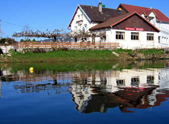 Les Cygnes - VILLERS-LE-LAC