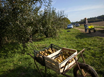 Mamirolle - MAMIROLLE