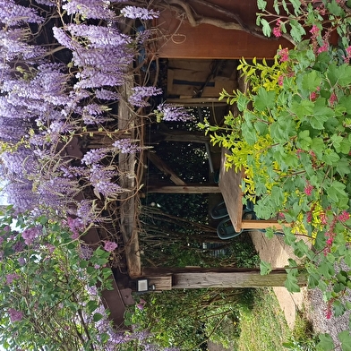 Fleur de Jeannette