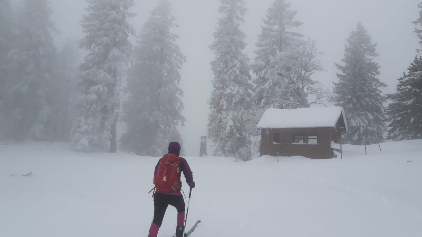 Rando familiale en raquette ou backcountry