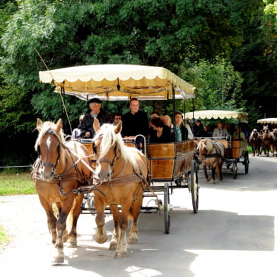 Les Calèches du Saut du Doubs