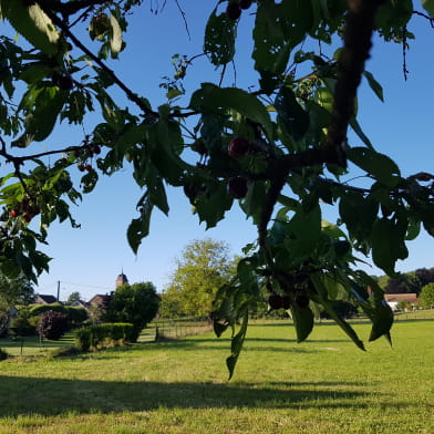 Le gîte de Fourg