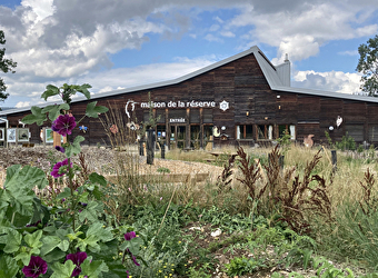 Maison de la Réserve - LABERGEMENT-SAINTE-MARIE