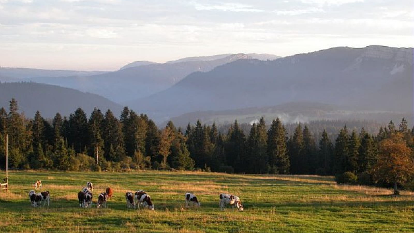 Le Mont de l'Herba