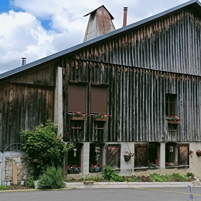 Chambre d'hôtes - La grand raie