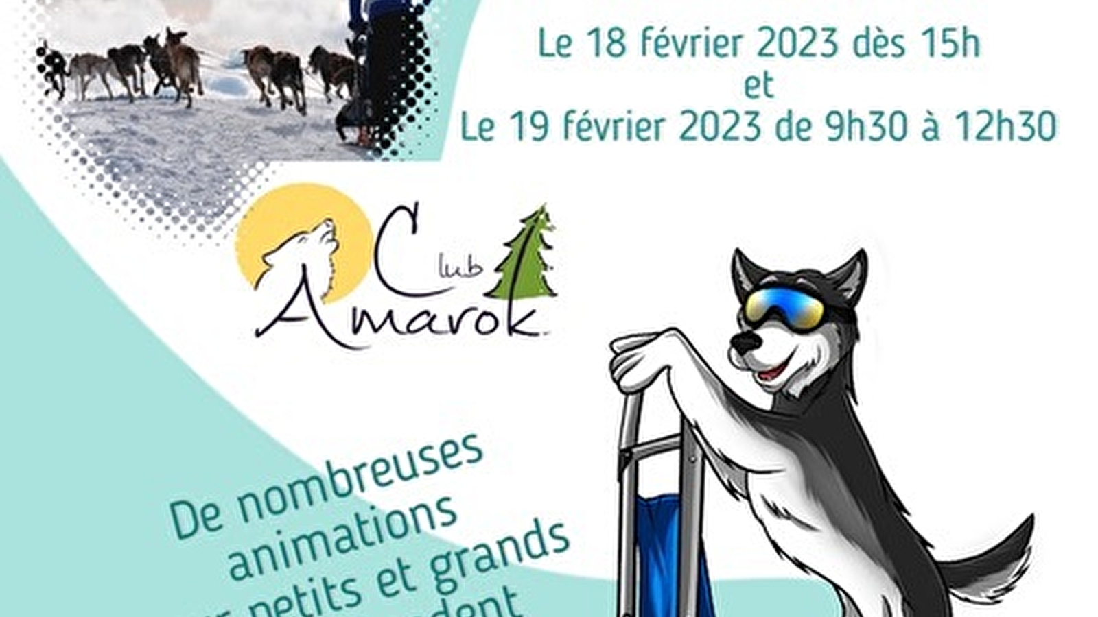 Course de chiens de traîneaux