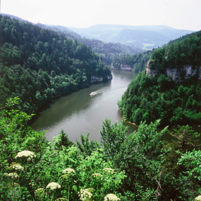Les bassins et le Saut du Doubs