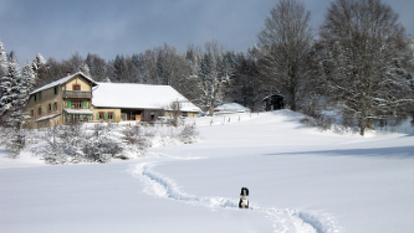 Restaurant la Petite Échelle