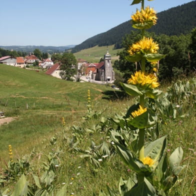 VERRIERES DE JOUX