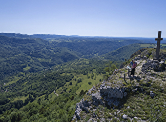 Belvédère de la Roche de Hautepierre - LES PREMIERS SAPINS