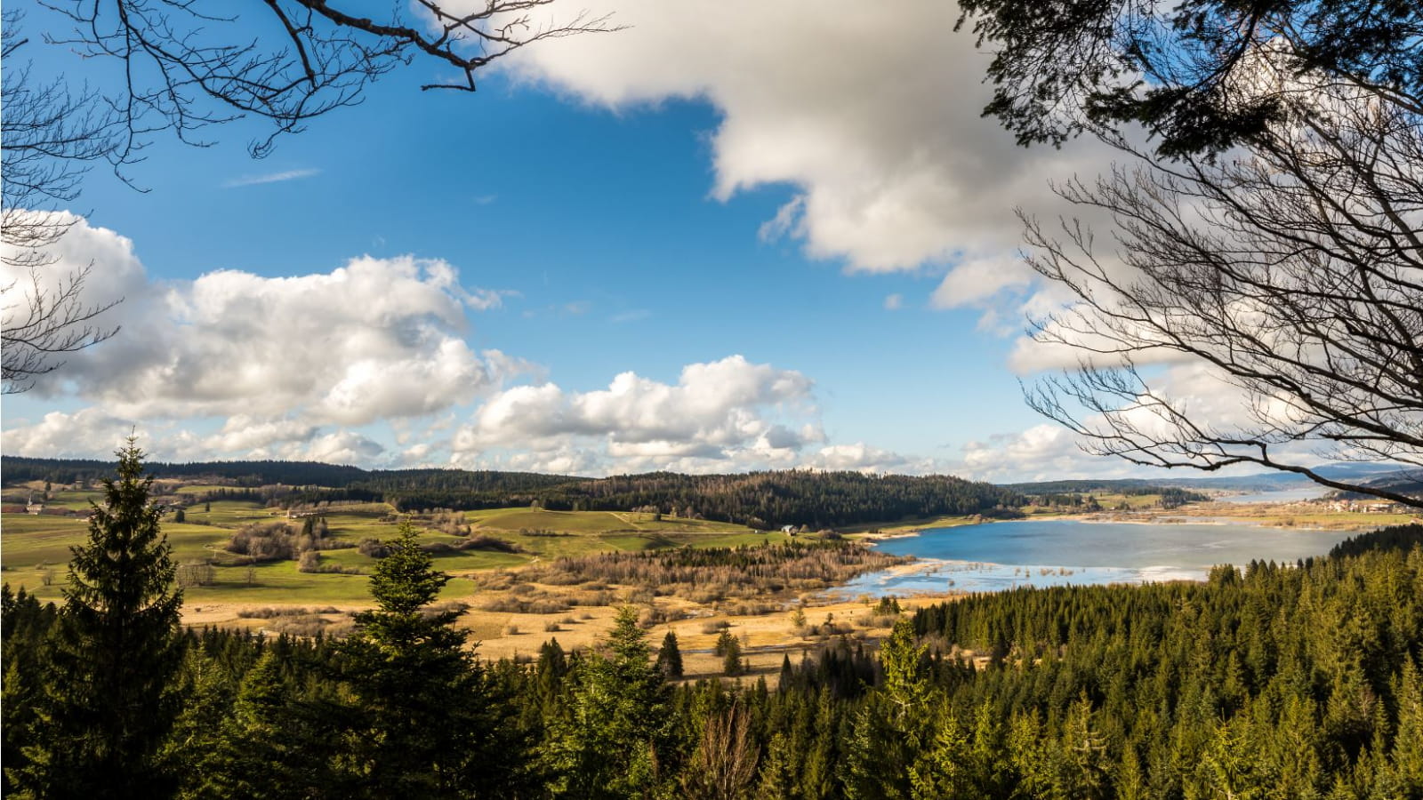 Réserve naturelle du lac de Remoray