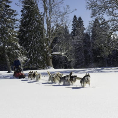 Échappée nordique à Chapelle-des-Bois