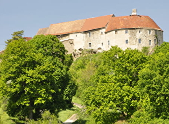 Château Médiéval de Montby - GONDENANS-MONTBY