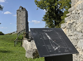 Castel Saint-Denis - SCEY-MAISIERES