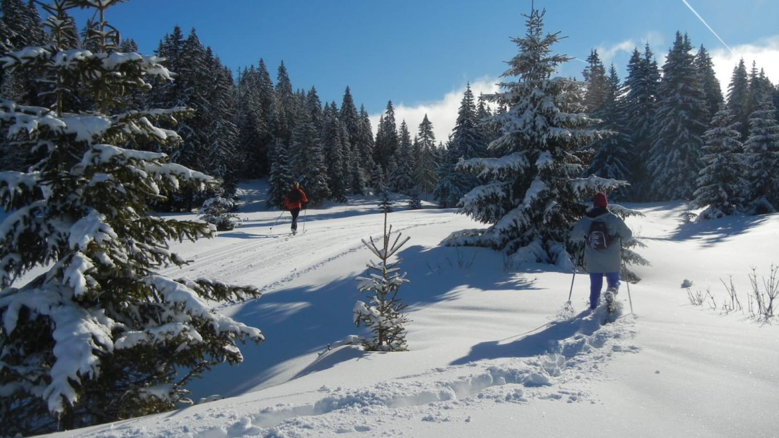 Site raquettes - Malbuisson - La Fuvelle