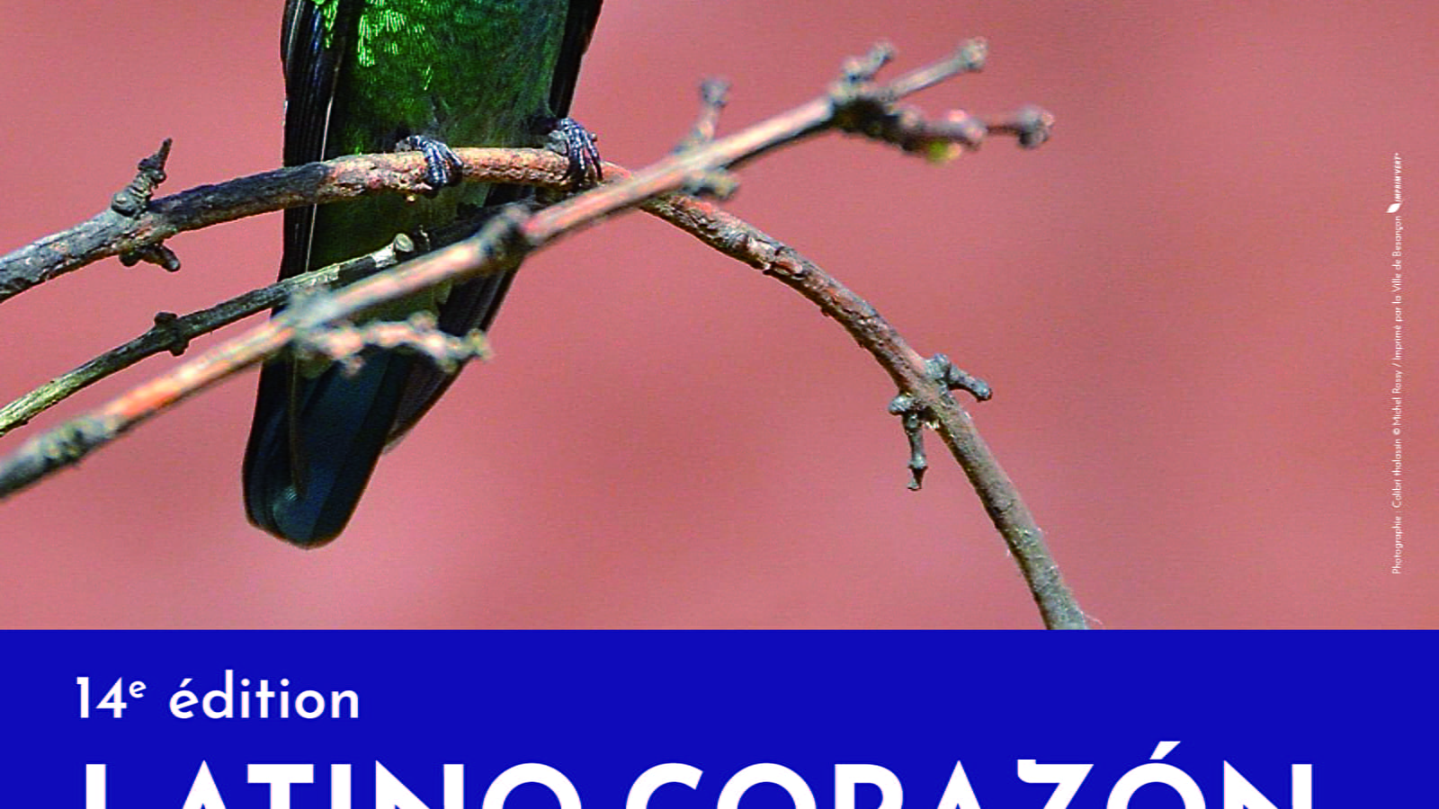 Festival 'Latino Corazón' 2023