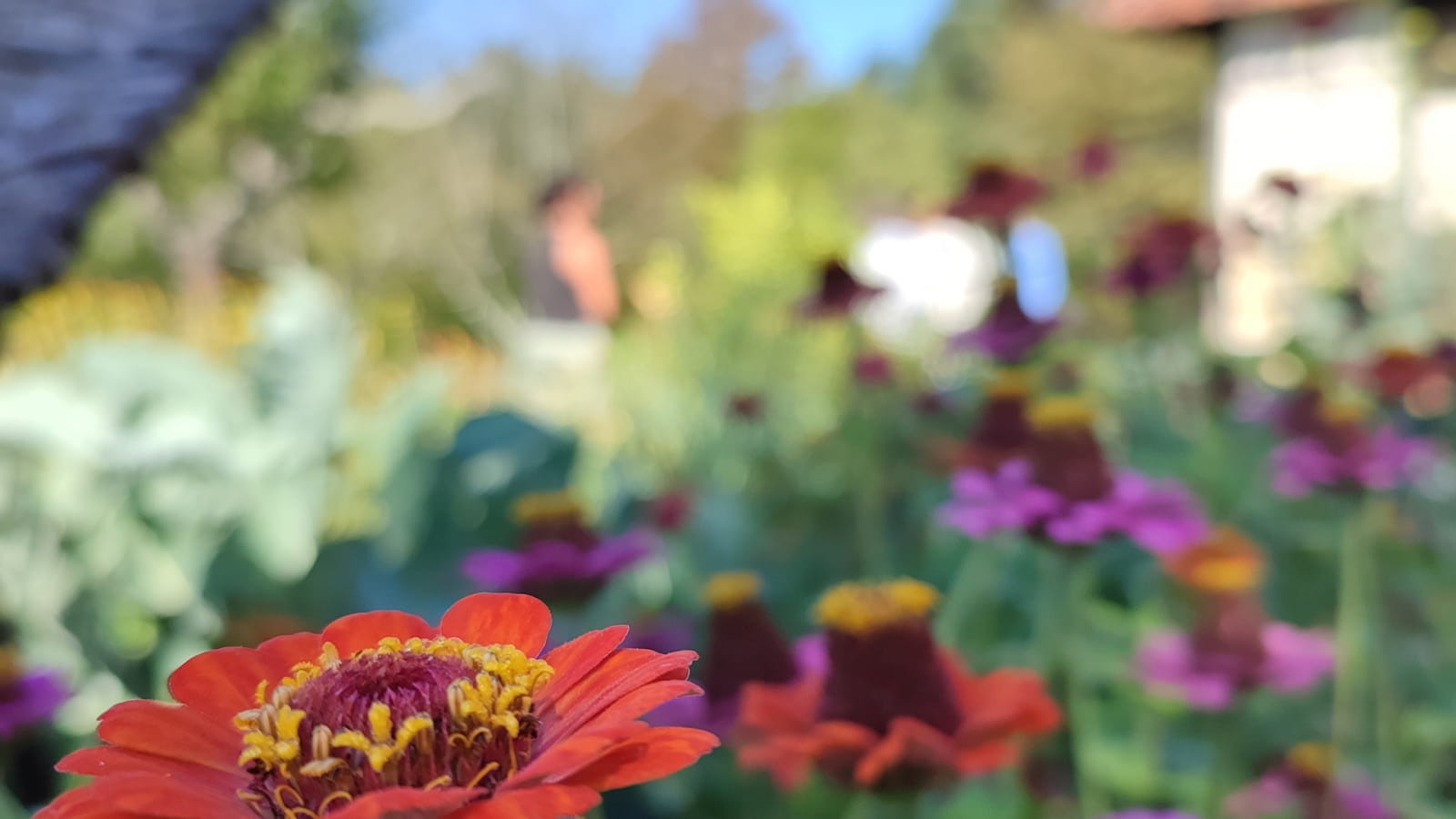 Rendez-vous au jardin
