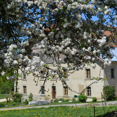 Appartement - La Laiterie