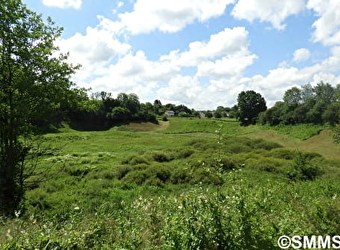 Marais de Saône - SAONE