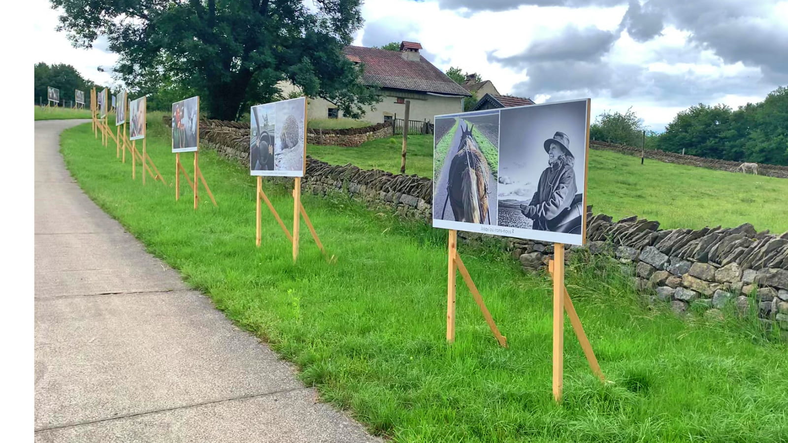 Exposition de photographies en plein air