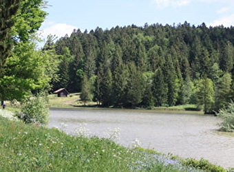 Pêche aux étangs du Bois du Roy - TREVILLERS