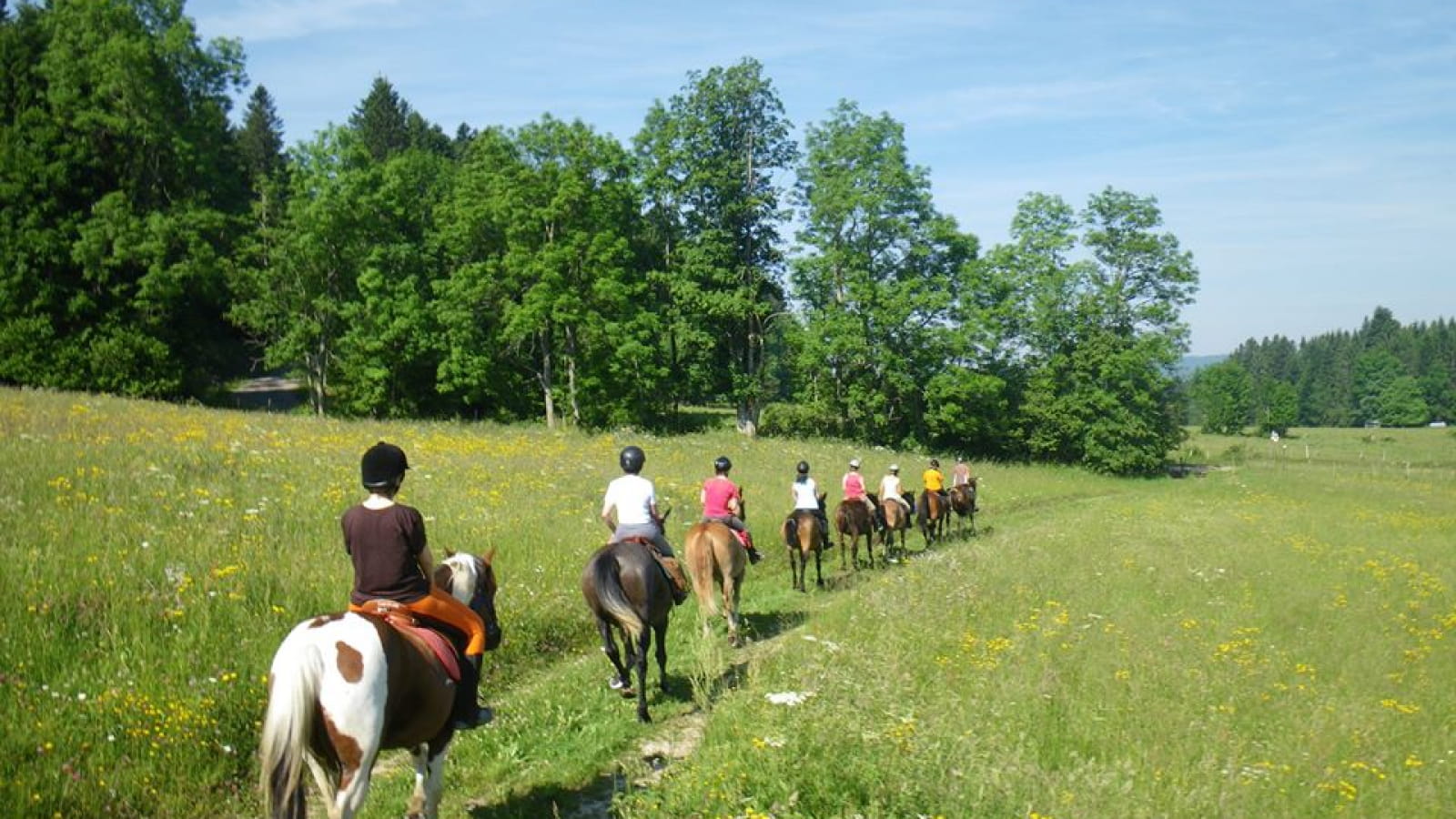 Ferme équestre - Les Bâties - CHEVAL PASSION JURA