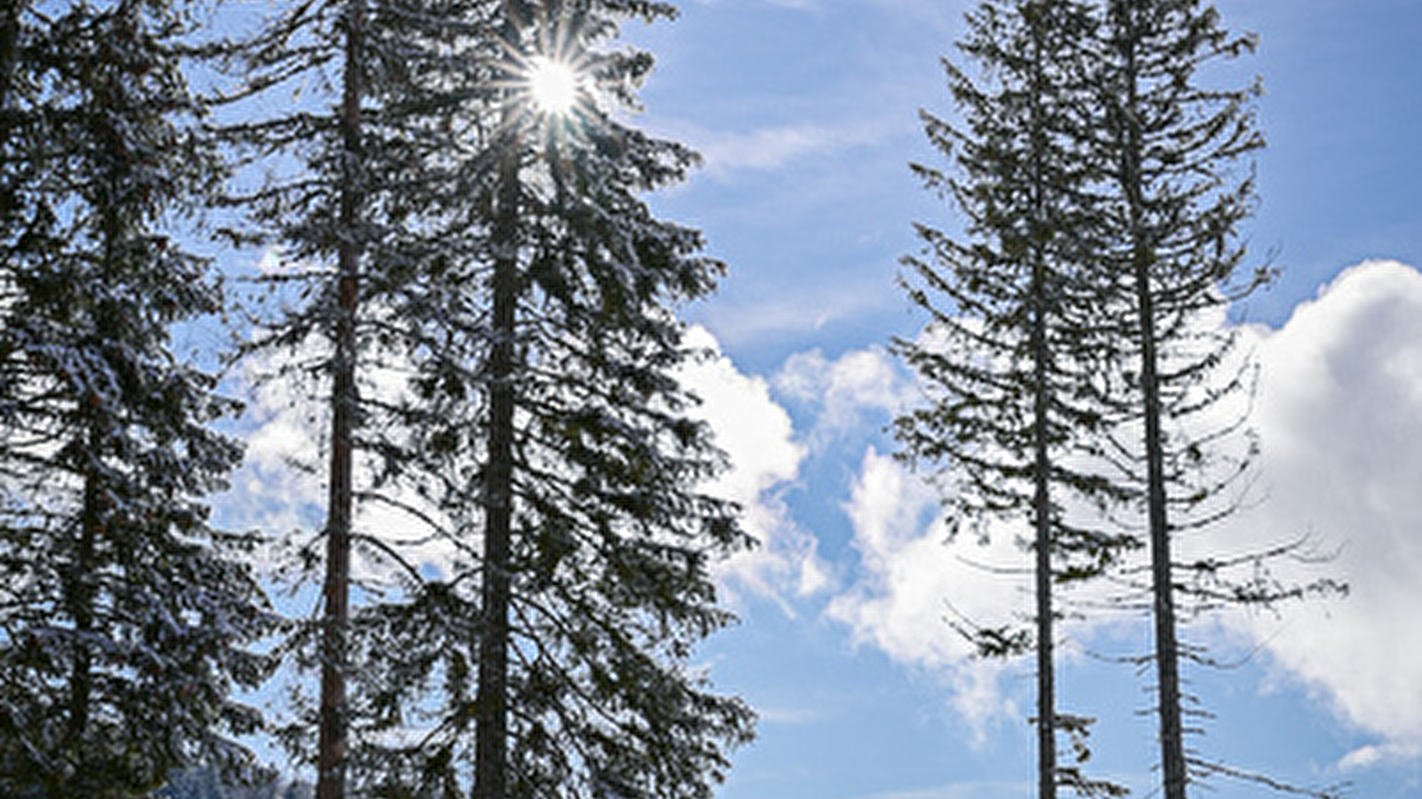 Site Nordique de Chapelle des Bois