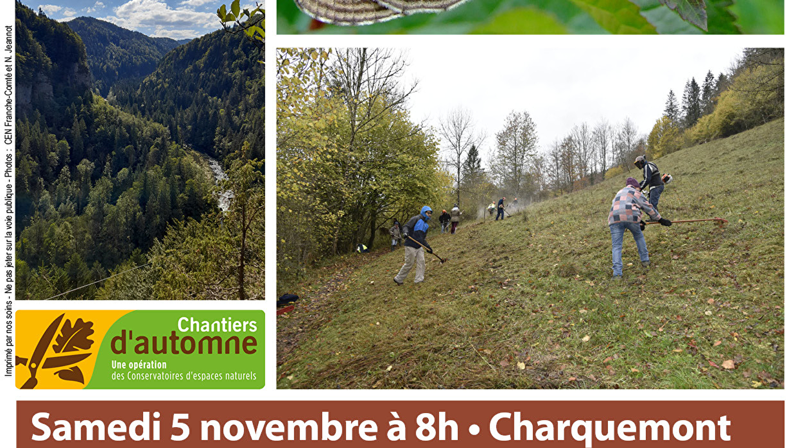 Chantier Nature Automne - Echelles de la Mort