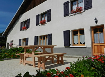 Appartement - Yann Patoz - PAYS-DE-MONTBENOIT