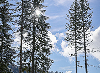 Site Nordique de Chapelle des Bois - CHAPELLE-DES-BOIS