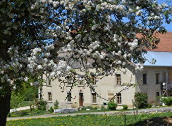 Appartement - La Grange des Sapins - ARCON