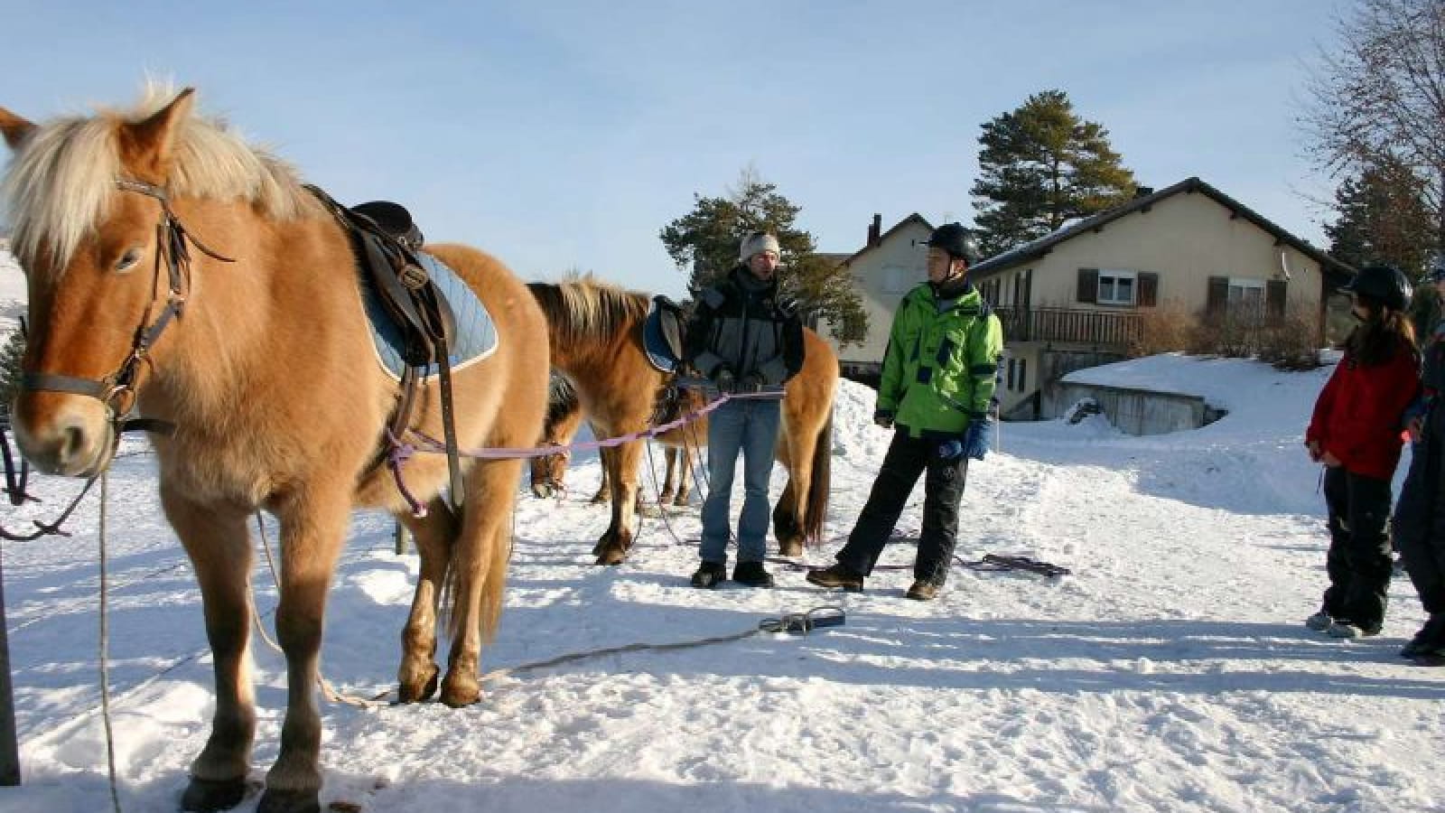 Centre équestre - Les Cerclevaux - CHEVAL PASSION JURA